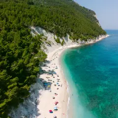 Aerial view of a crowded white sand beach with turquoise water, backed by a lush green forest and white cliffs.