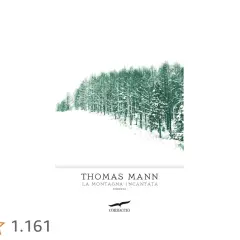 La Montagna Incantata: Guida Completa al Capolavoro di Mann