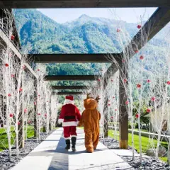 Mirtillo Rosso Hotel: Natale tutto l'anno per famiglie in Valsesia