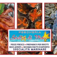 Pescheria Stella Marina: scopri il gusto autentico del mare