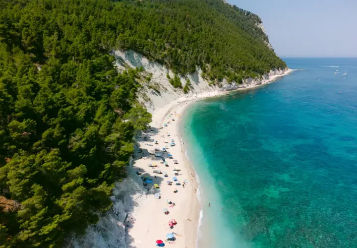 Aerial view of a crowded white sand beach with turquoise water, backed by a lush green forest and white cliffs.