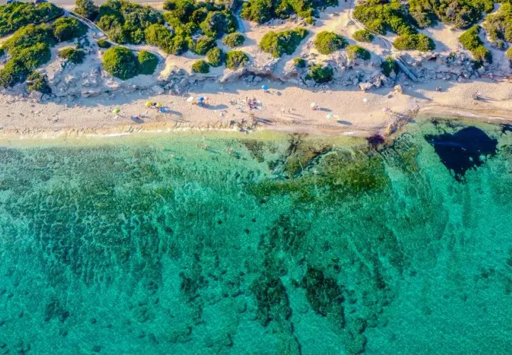 Spiagge vicino Avignone: la tua guida alle fughe al mare perfette