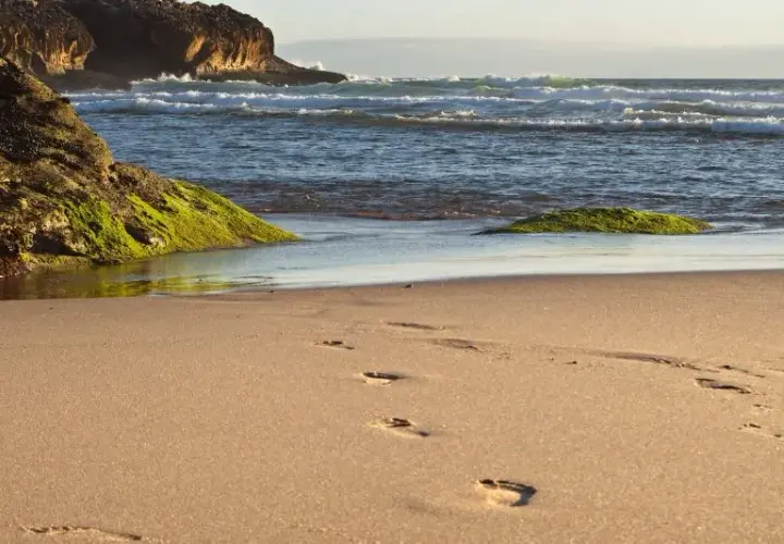 Spiagge vicino Lisbona: Guida rapida per ogni esigenza