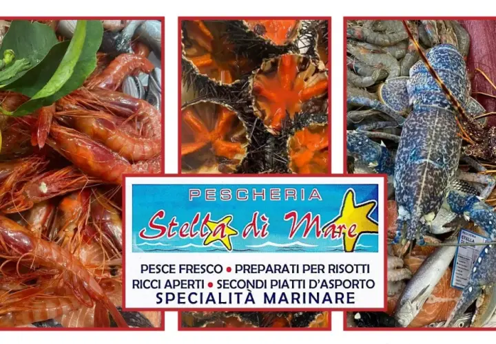Pescheria Stella Marina: scopri il gusto autentico del mare
