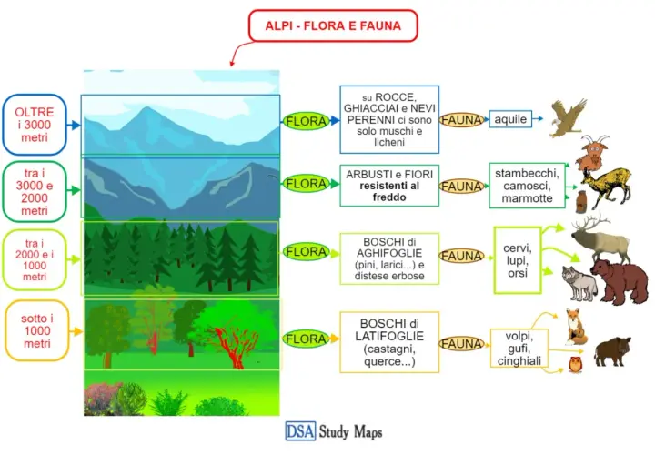Flora e Fauna Montagna: Guida Completa | Alpi e Appennini