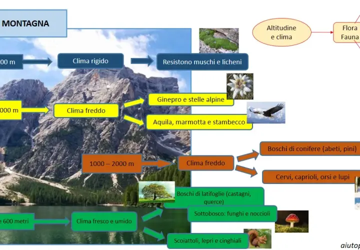Flora e Fauna Montana: Guida Completa alla Biodiversità Italiana