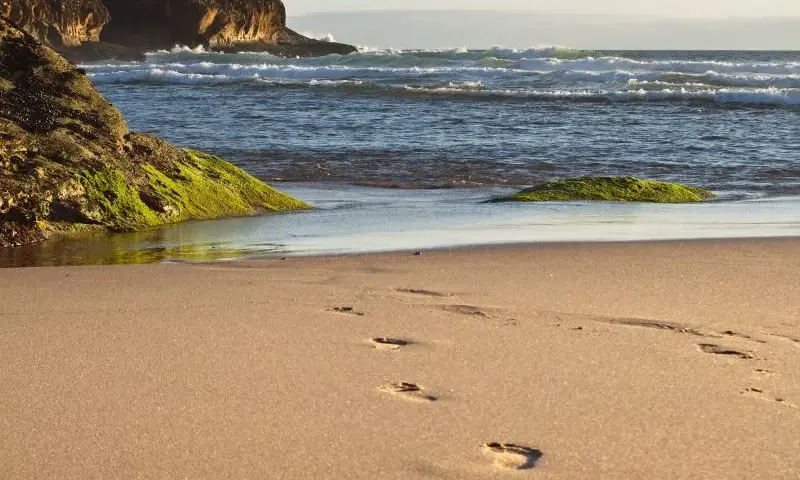 Spiagge vicino Lisbona: Guida rapida per ogni esigenza
