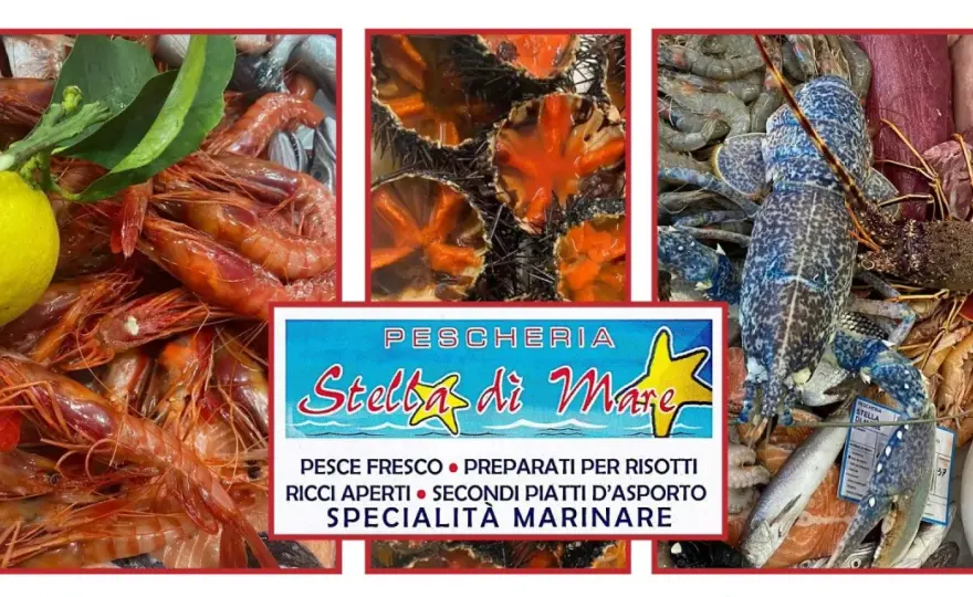 Pescheria Stella Marina: scopri il gusto autentico del mare