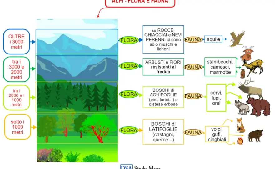 Flora e Fauna Montagna: Guida Completa | Alpi e Appennini