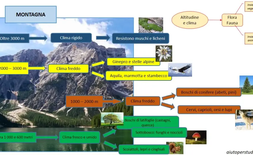 Flora e Fauna Montana: Guida Completa alla Biodiversità Italiana