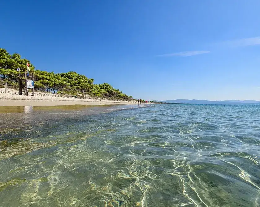 Spiaggia pineta Costa degli Etruschi